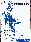 Calleico.bmp (2870 bytes)