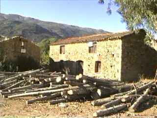 Ojalvo1b.jpg (23075 bytes)