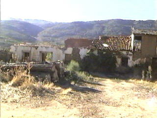 Ojalvo2b.jpg (17846 bytes)