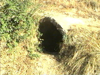 Ojalvo6b.jpg (28911 bytes)