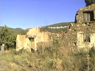 Ojalvo8b.jpg (19151 bytes)