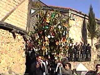 Ramo4b.jpg (26889 bytes)