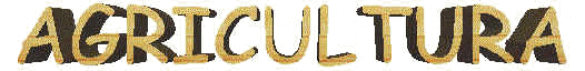 wpe22.jpg (8190 bytes)