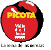 picota[1].gif (2787 bytes)